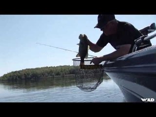 Fishing with Joe Bucher - The Old StandBy Bait