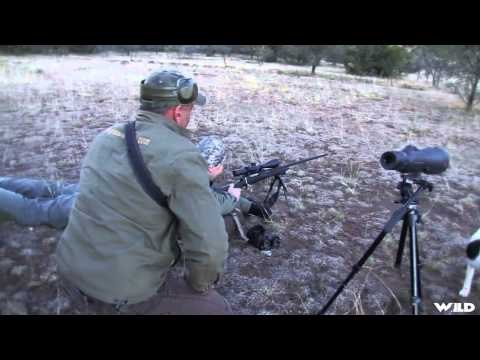 Extreme Outer Limits TV - Long Range Mountain Reedbuck and Blesbok in South Africa