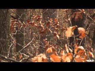 Drop Zone - TriState Outfitters