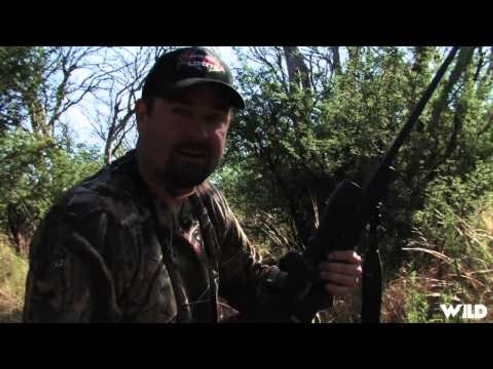 Extreme Outer Limits TV - Intense Fallow Deer  Red Stag Hunting in South America