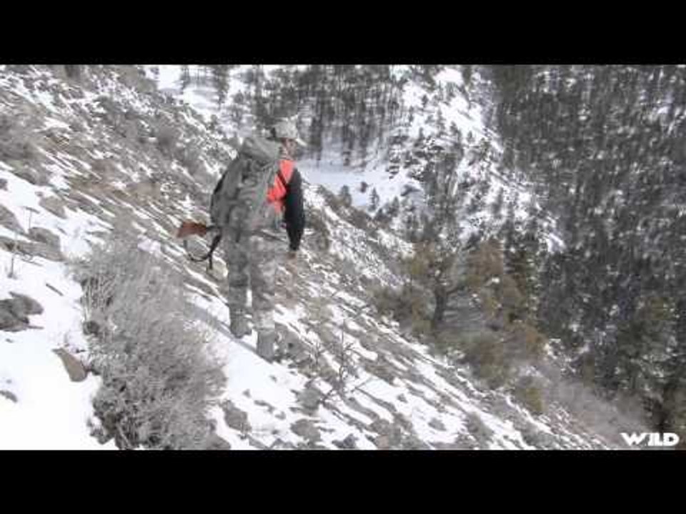 Into High Country - Montana Spot  Stalk Black Bears