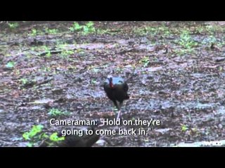 Hank Parkers 3D  - The Outdoor Dream Foundation