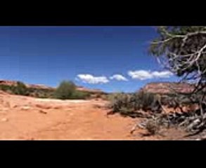 Python vs Lion - Python attack Lion funny