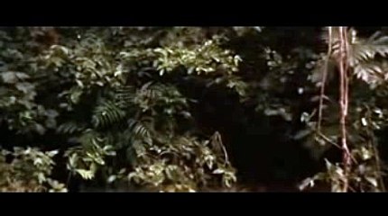 바카라싸이트ど＼＼【KOP77。COM】＼＼だ바카라시스템베팅바카라양방프로그램