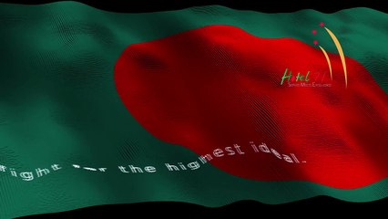 The voice of freedom - A story about us