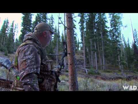 Primos The Truth About Hunting - Elk in Colorado