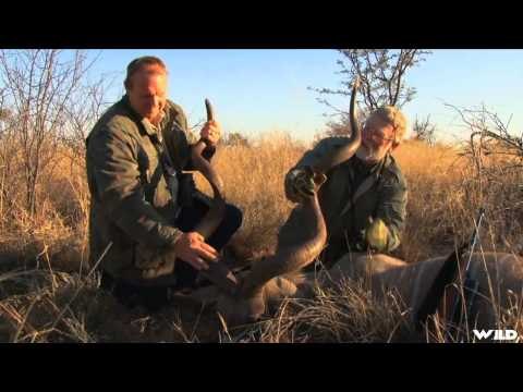 A Hunters Life - South Africa Lion Safari