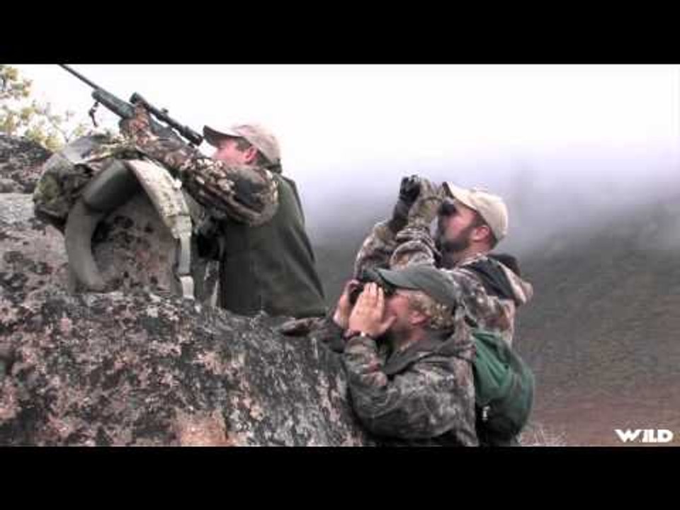 Steves Outdoor Adventures - Yukon Dall Sheep Hunting Adventures