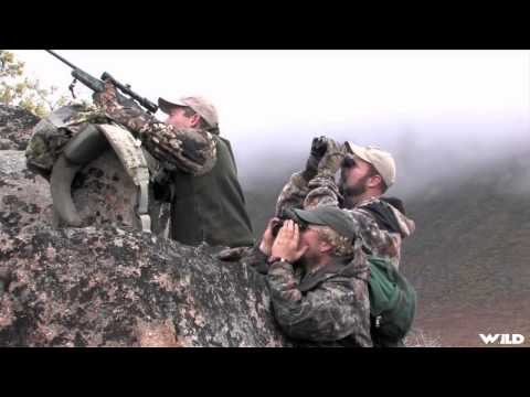 Steves Outdoor Adventures - Yukon Dall Sheep Hunting Adventures