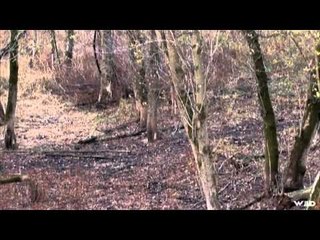 AWay Outdoors  - Mock Scrape Results