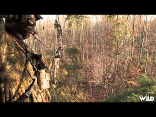 Hardcore Pursuit - Hard Times in The North