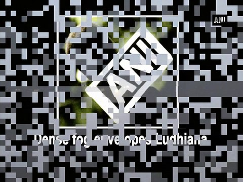 Dense fog envelopes Ludhiana