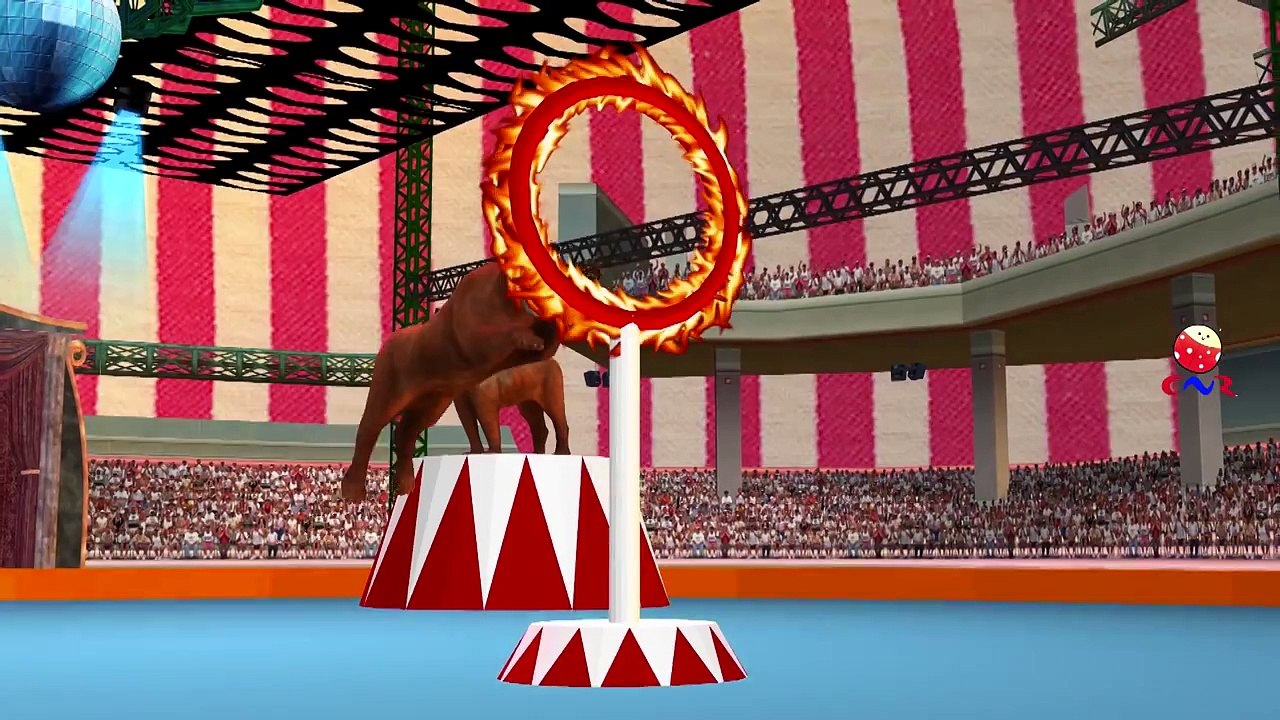 Dinosaur Cartoon Fighting And Singing Finger Family Children Nursery Rhymes 3D Animated