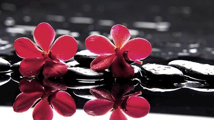 Musique pour lEtude: Musique pour étudier, augmenter la concentration,Best Music for Studying