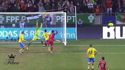 Cristiano Ronaldo Destroyed Sweden  All goals 19112013 HD