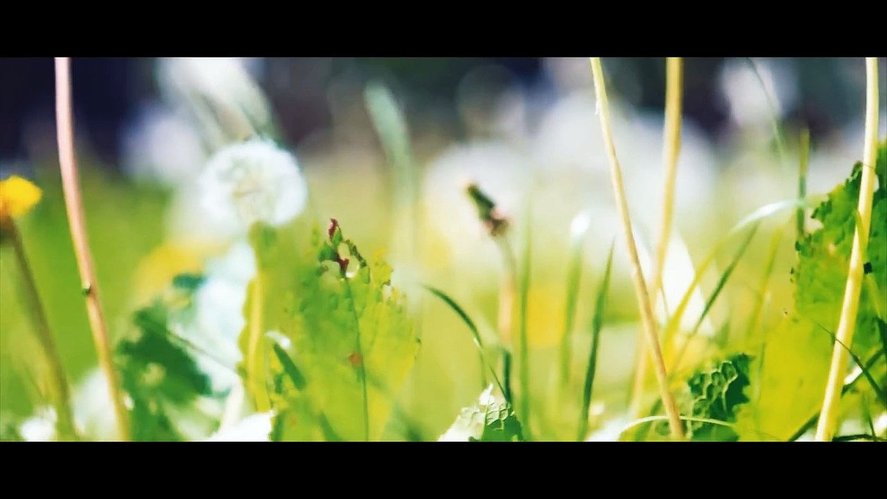 Hamesha - Soch Band ¦ Ft. Momina Mustehsan (Awari Ek Villian Fame) ¦ New Hindi Songs 2014