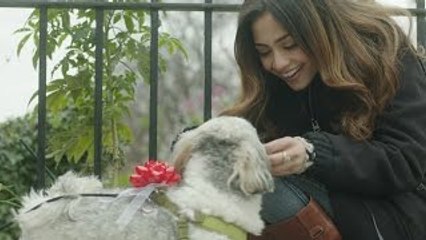 Famous - Matt Beilis (Official Music Video)