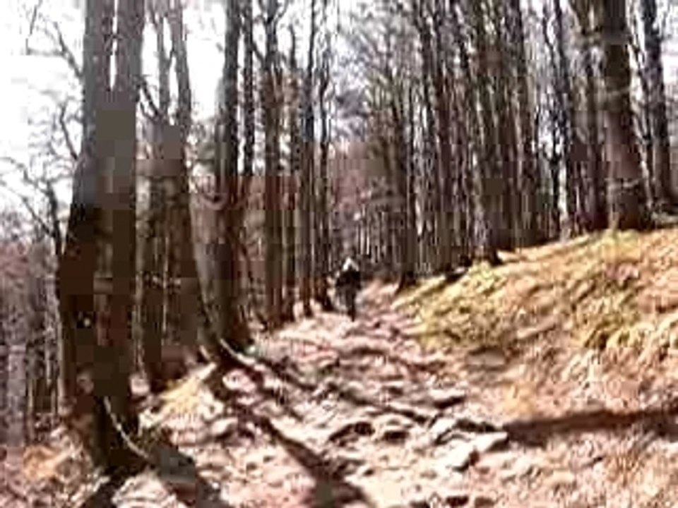 Dunkerquois en alsace  chez juju et zaza