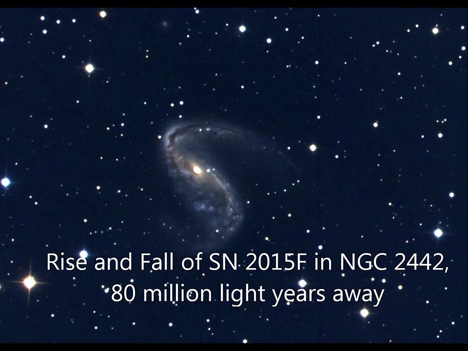 The Rise and Fall of Supernova 2015F