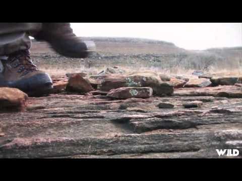 Extreme Outer Limits TV - Long Range Springbok Zebra and Hartebeest in South Africa