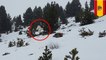 Video: yeti caught on camera in Pyrenees Mountains of Spain