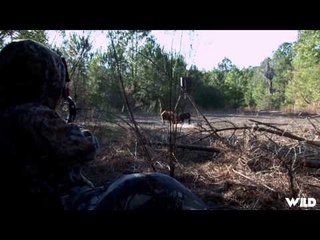 The Hitmen - 3 Hogs in 3 Hours