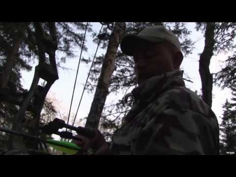 Excaliburs Huntin the Backwoods - Big Bears at King Buck Safaris