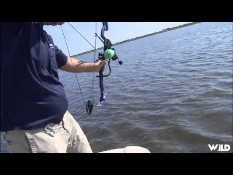 Innerlocs Out There - Sting Rays