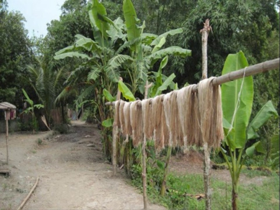 nokul kumar