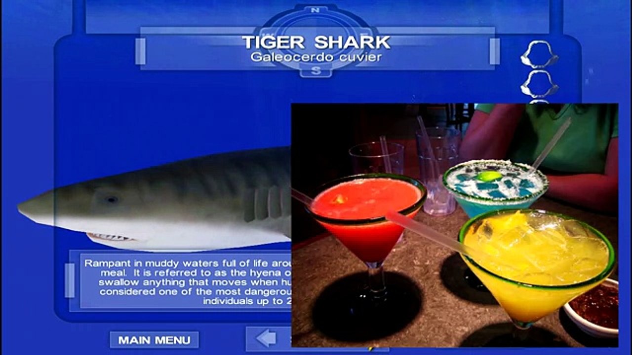 Иконостас [Shark!]
