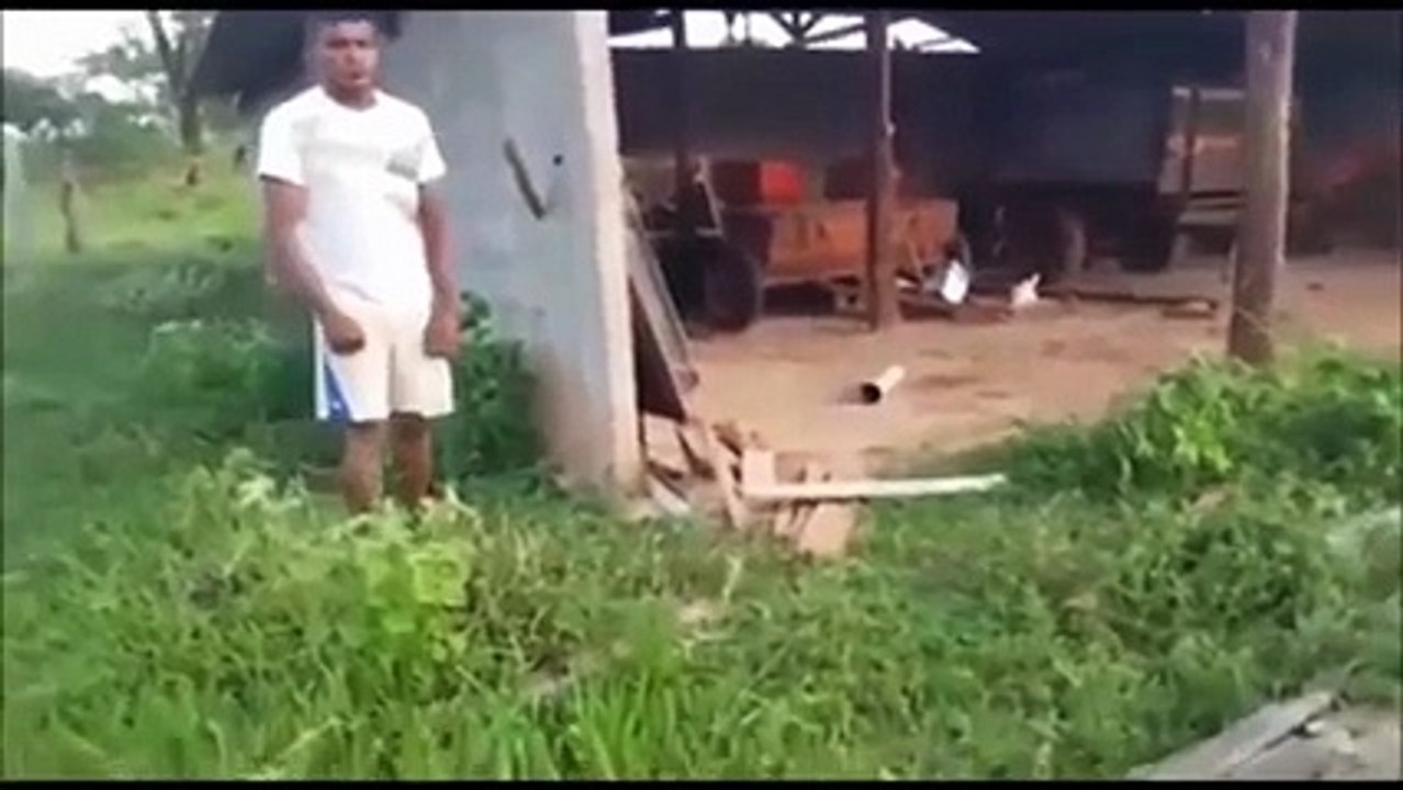 Dumb guy hits bee nest bare hands