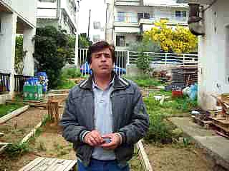 Νεος τρόπος Αναδάσωσης με πιο φυσικο τρόπο