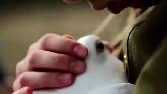 Хотят ли русские войны !?.....