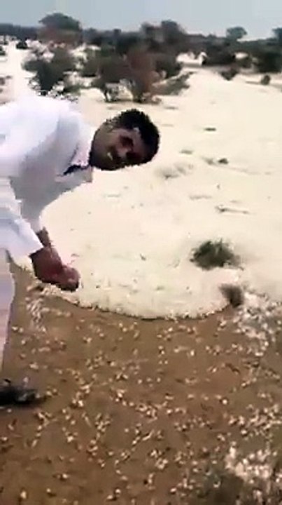 sno in sodiarb