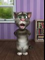 talking tom cat punjabi (facebook)