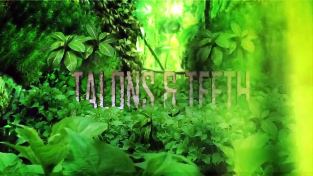 İnsan Sesini Taklit Eden Kimlik Karmaşası Yaşayan Akıllı Kara Karga