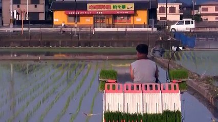 Japon Çiftçilerin Hayatını Kolaylaştıracak Muhteşem Bir Makine