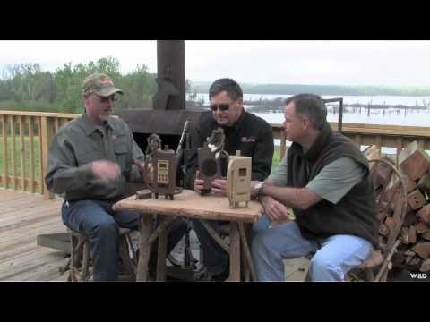 MOJOs Coming to the Call - Top Dog