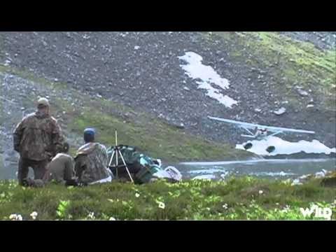 Wild Sheep Foundations Hittin the Outdoors - Alaska Mountain Goat Hunt