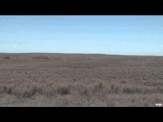 Predator Quest  - Tight Covered Spots
