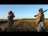 Where in the World is Colorado Buck  - Argentina Dove Ducks Fish