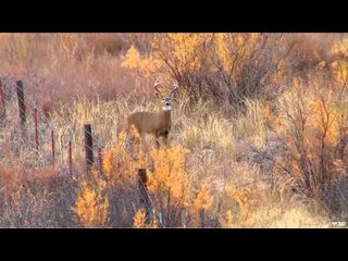 Buck Ventures Outdoors  - Republican Valley