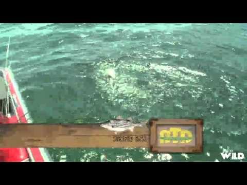 Bass West USA TV - Lake Havasu Arizona