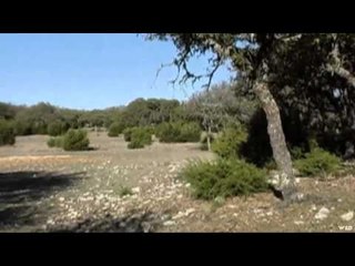 Ultimate Outdoors TV - A Little RR