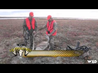 Christensen Outdoors - Barren Ground Caribou in Northern Manitoba