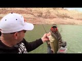 Bass West USA TV - Lake Powell Spawning Action