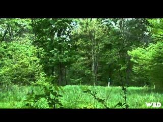 Ultimate Outdoors TV - Spring Fever