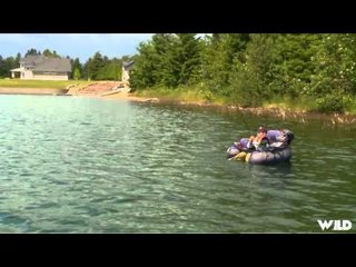Nice Fish Jr - Davids Invention