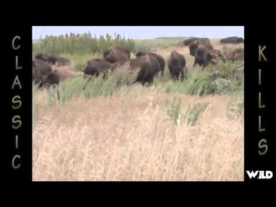Relentless Pursuit  - Classic Kills 1