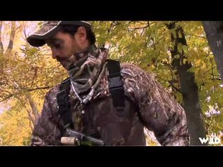 Qubec  vol d oiseau - Mallard Duck Hunt